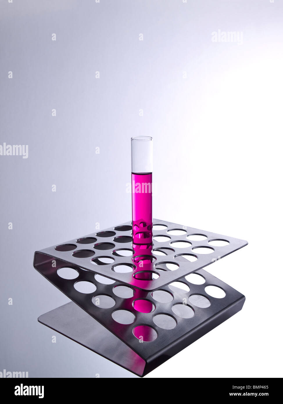 Metal rack with a single test tube filled with a magenta liquid. Stock Photo