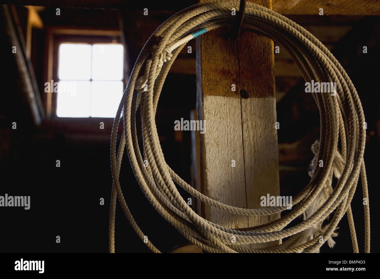 Alberta, Canada; A Lasso Hanging In A Barn Stock Photo