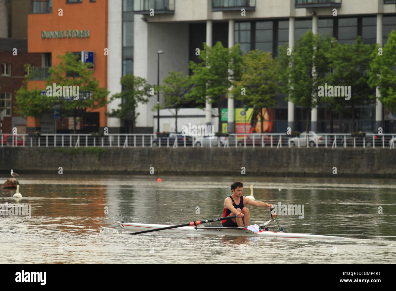 A rower on the River Shannon in Limerick City, Rep of Ireland Stock Photo Alamy