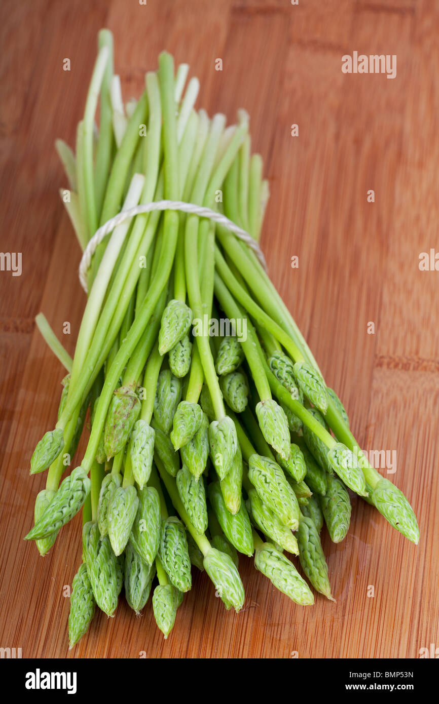 bunch of wild green asparagus Stock Photo