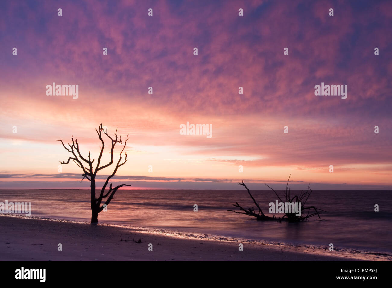Bone yard sunrise over Botany Bay Stock Photo - Alamy