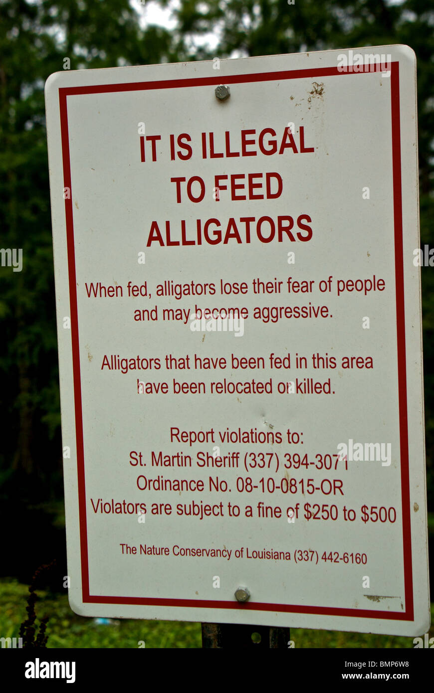 Sign warning illegal to feed alligators at Lake Martin Wildlife