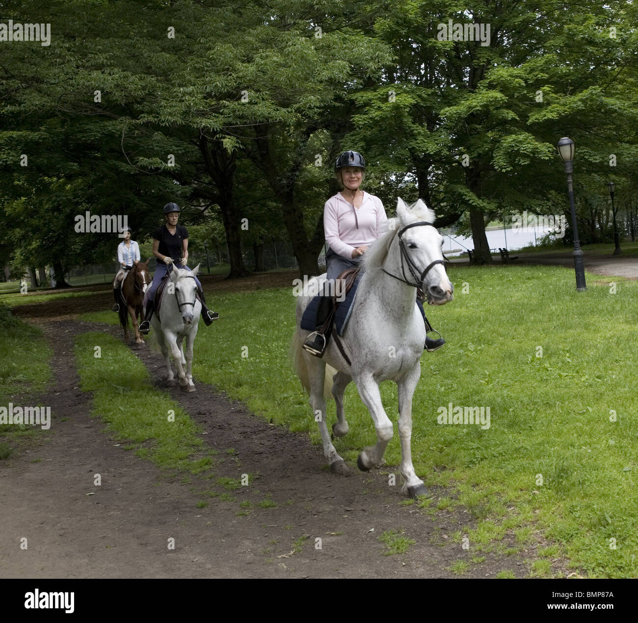 Women ride horses in Prospect Park, Brooklyn, New York Stock Photo Alamy