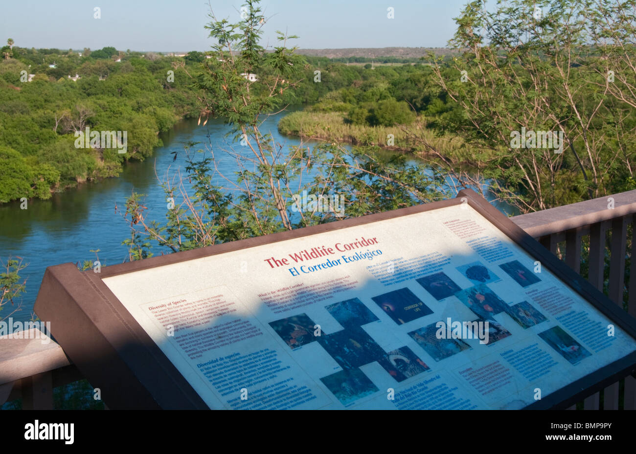 Texas, Roma, World Birding Center, Roma Bluffs Observation Deck overlooking Rio Grande Stock Photo