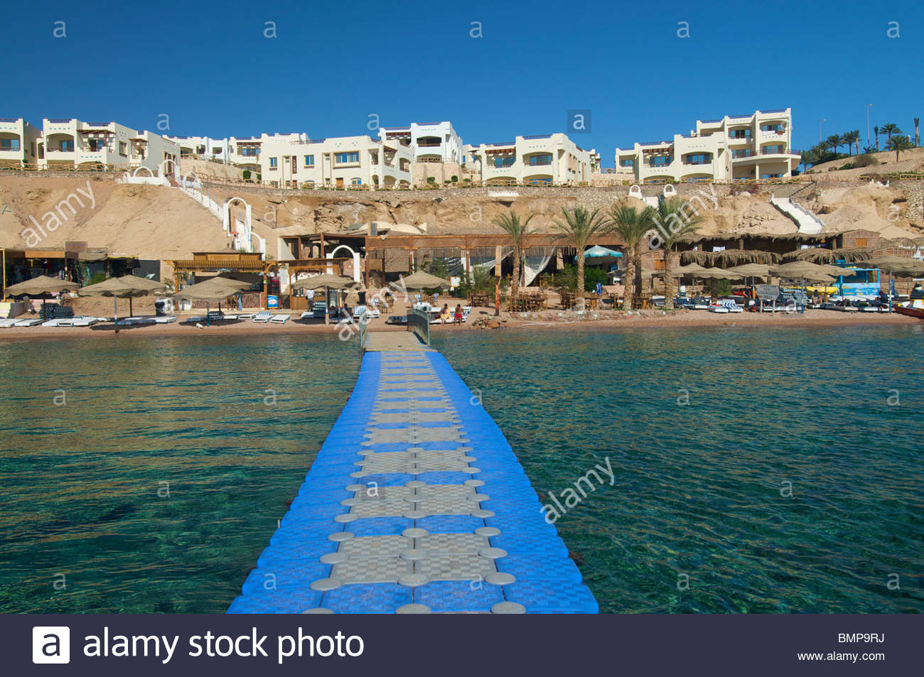 Sharks bay casino