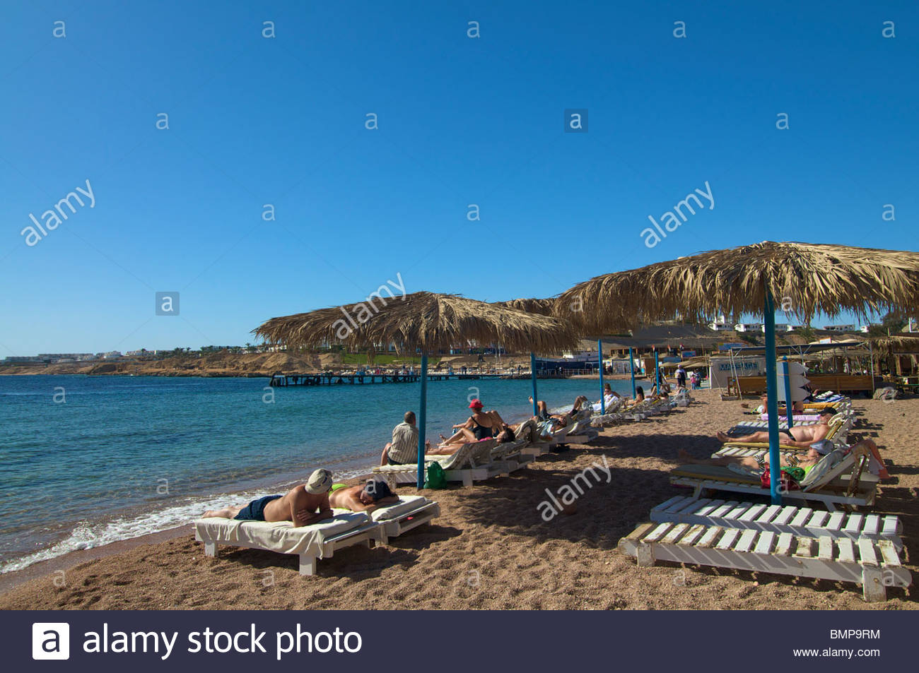 Shark bay casino perla