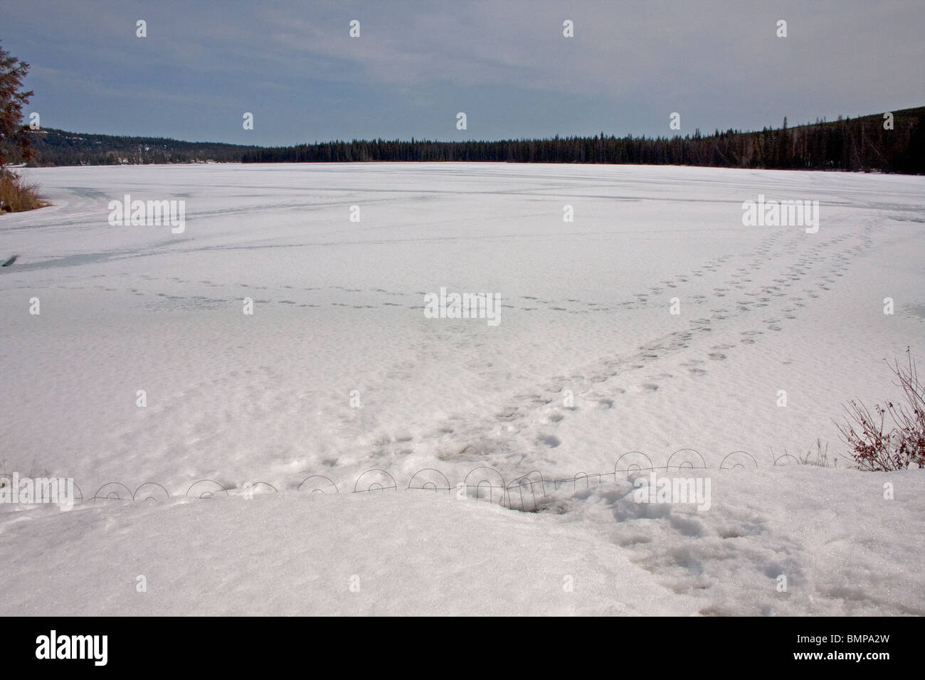 Le jeune hires stock photography and images Alamy