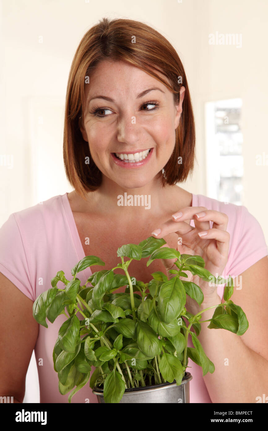 Picking basil hi-res stock photography and images - Alamy