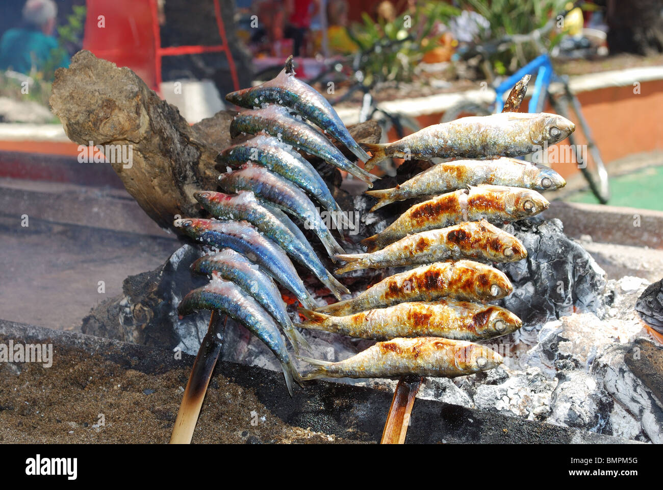 Sardines cooking on a barbecue boat, Daitona beach, Marbella, Costa del