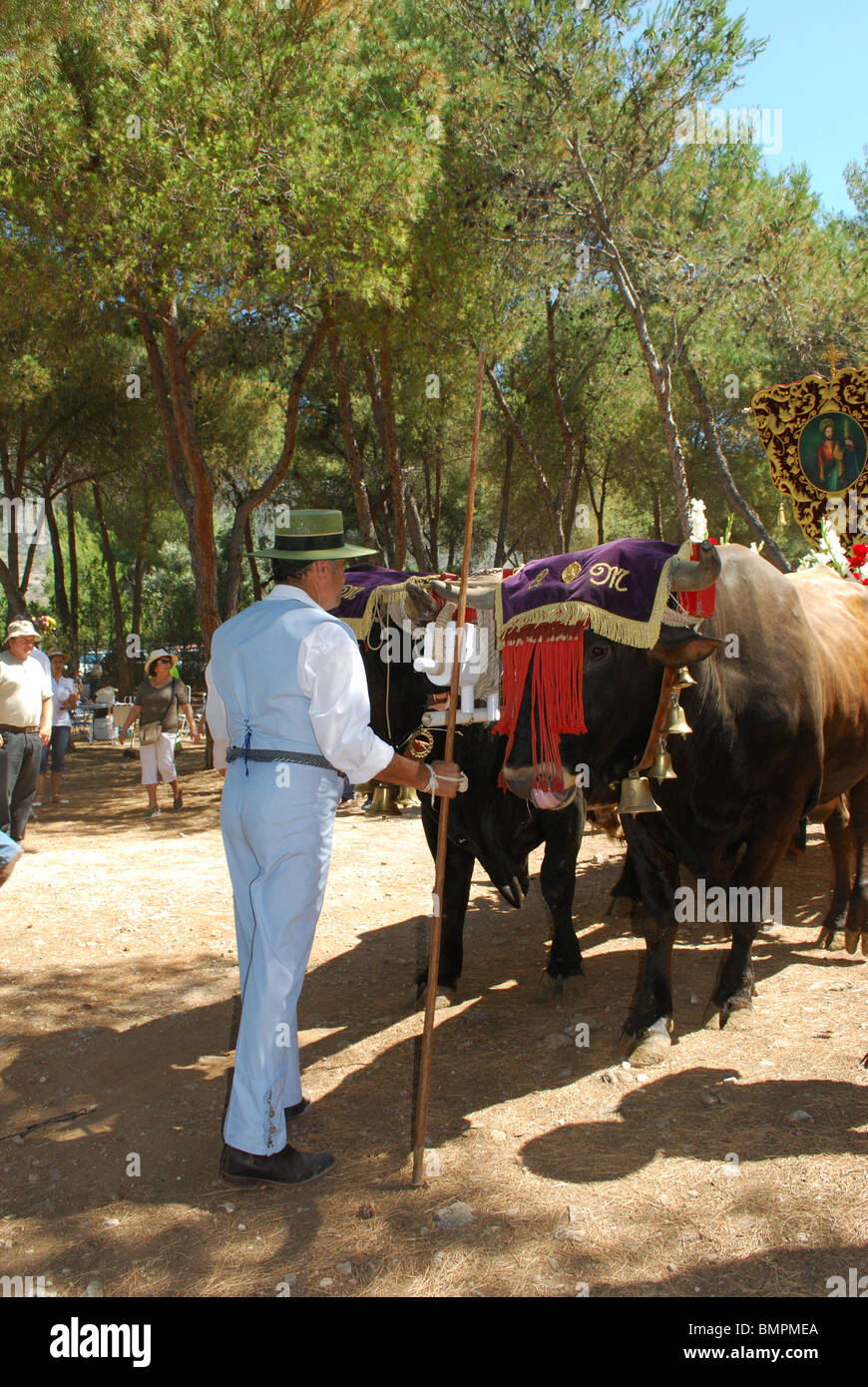 Bull Cart, Romeria San Bernabe, Religious Festival, Marbella, Costa del Sol, Malaga Province