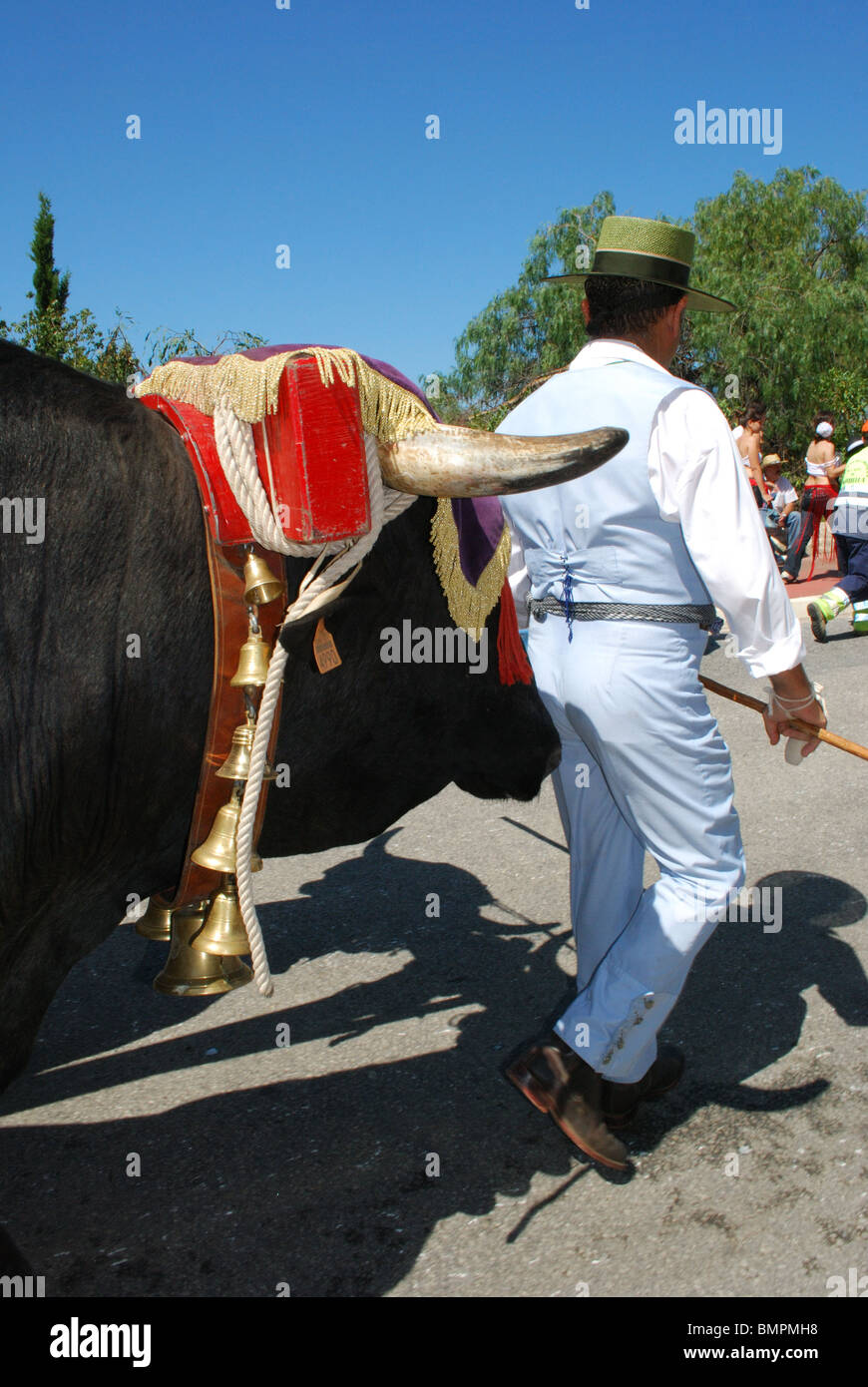 Bull Cart procession, Romeria San Bernabe, Religious Festival, Marbella, Costa del Sol, Malaga