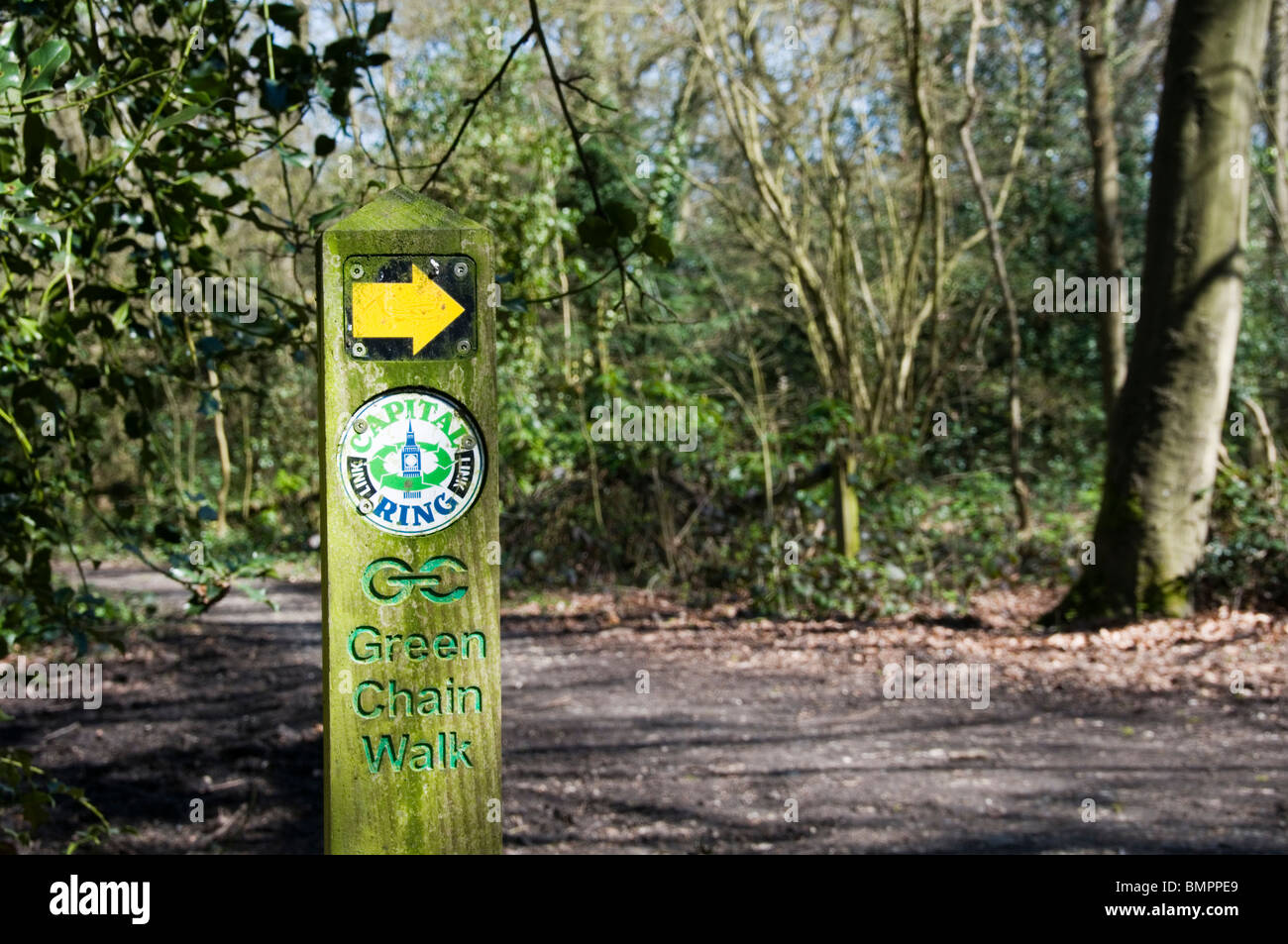 A waymarker for the Green Chain Walk and Capital Ring in Ravensbourne Woods, South London Stock 