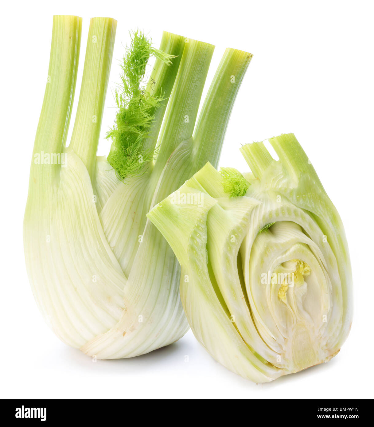 Ripe fennel isolated on a white background. Stock Photo