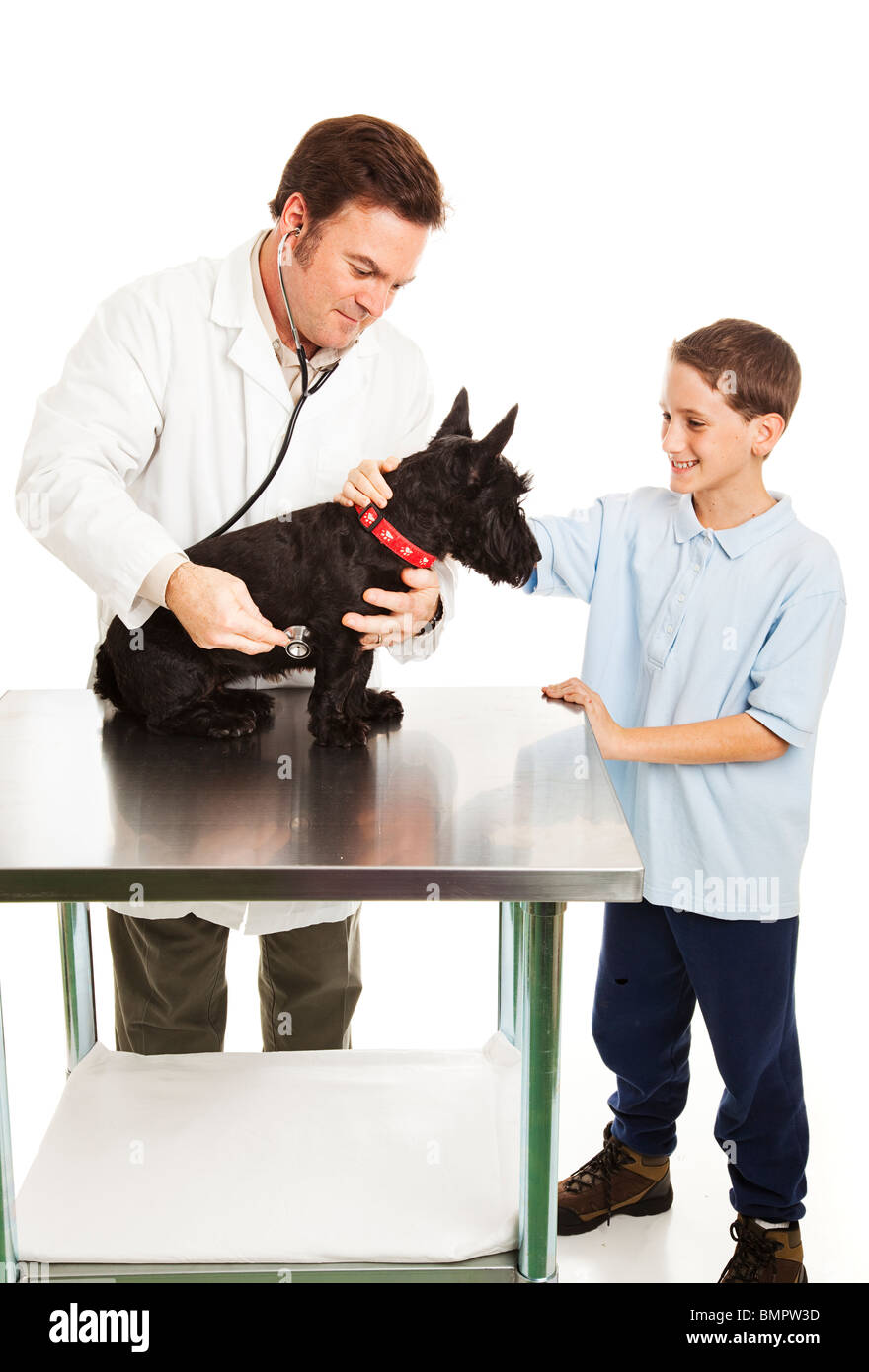 Little boy pets his dog as the veterinarian examines it. Isolated on white. Stock Photo