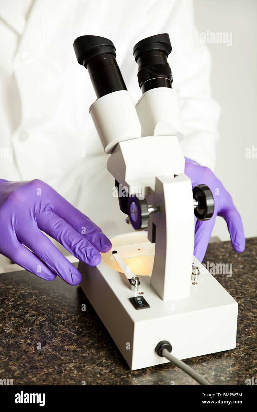 Blood sample under a microscope. Shallow depth of field.  Stock Photo