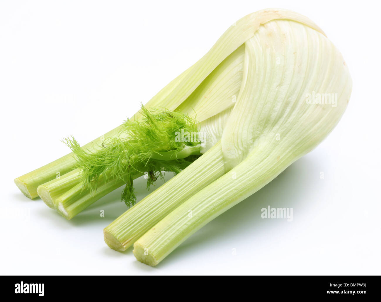 Ripe fennel isolated on a white background. Stock Photo