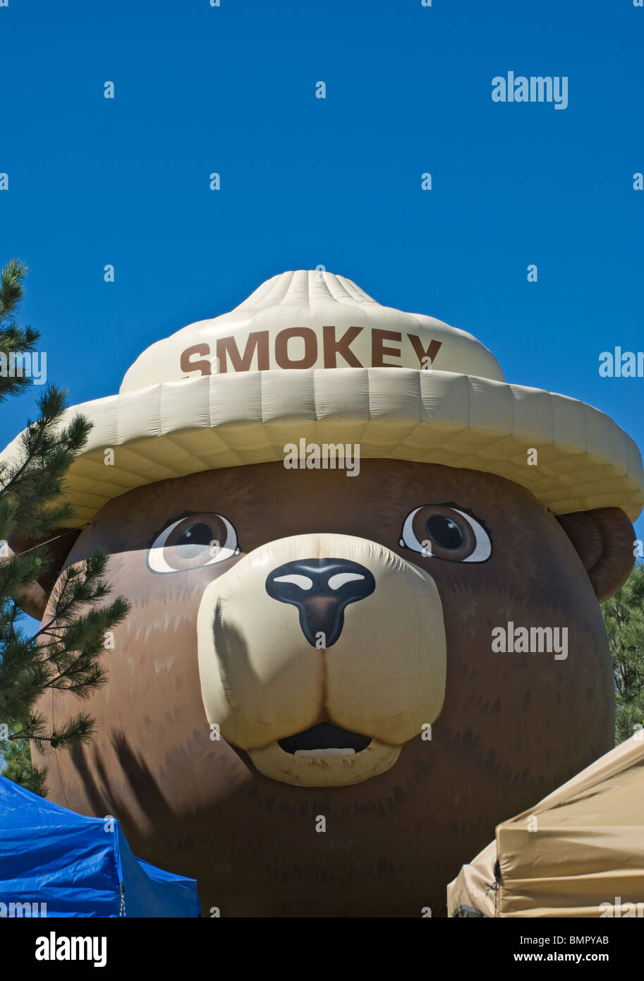 Smokey Bear: The Enduring Flame of Prevention Born in New Mexico
