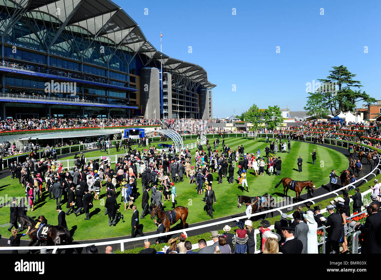 Parade ring ascot hi-res stock photography and images - Alamy