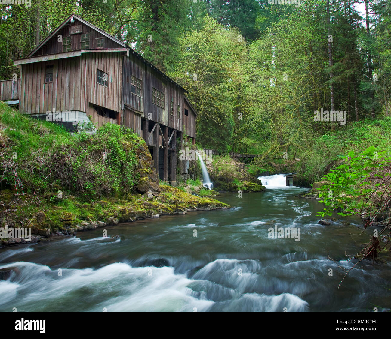 Clark County, WA Cedar Creek Grist Mill (1876) surrounded by spring forest green Stock Photo