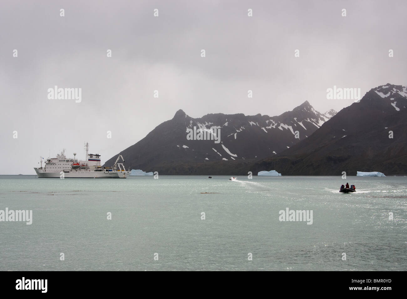 Zodiacs ferrying tourists to and from the beach in South Georgia, from the cruise ship Akademik Sergei Vavilov Stock Photo