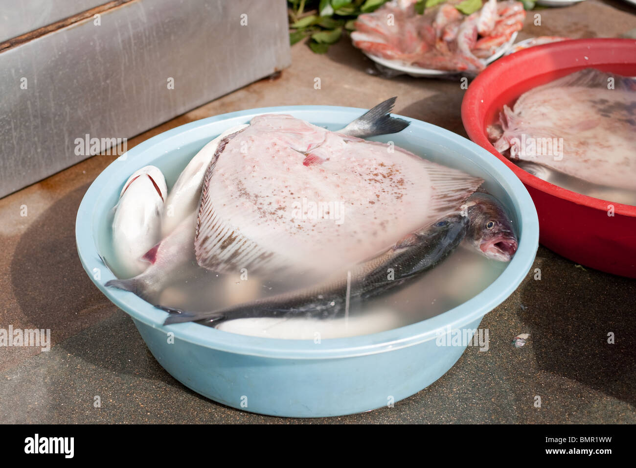 fresh fish in bowls Stock Photo