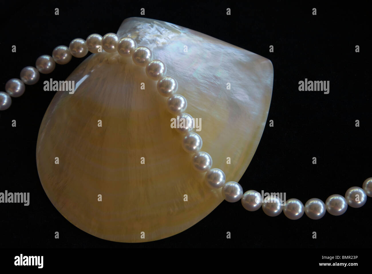 Paspaley pearls australia hires stock photography and images Alamy