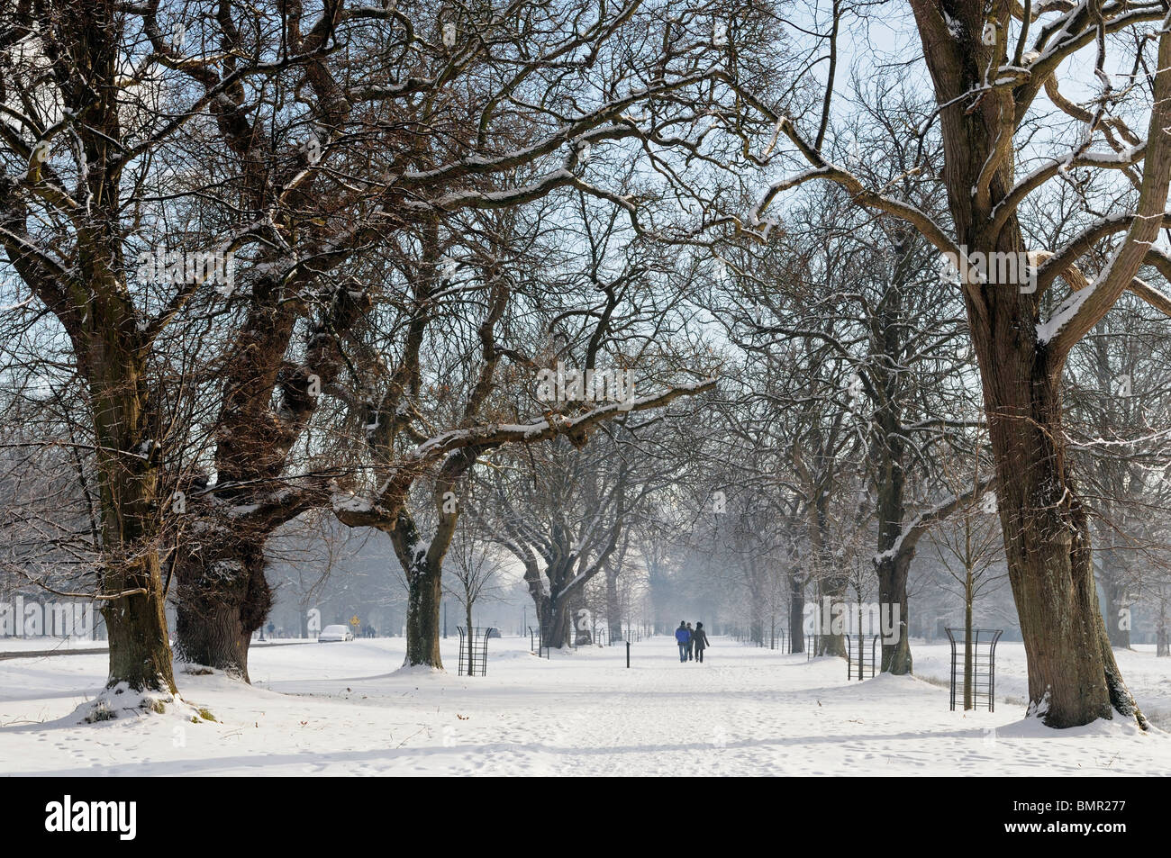 Phoenix Park Dublin Ireland Avenue path walkway trail tree snow