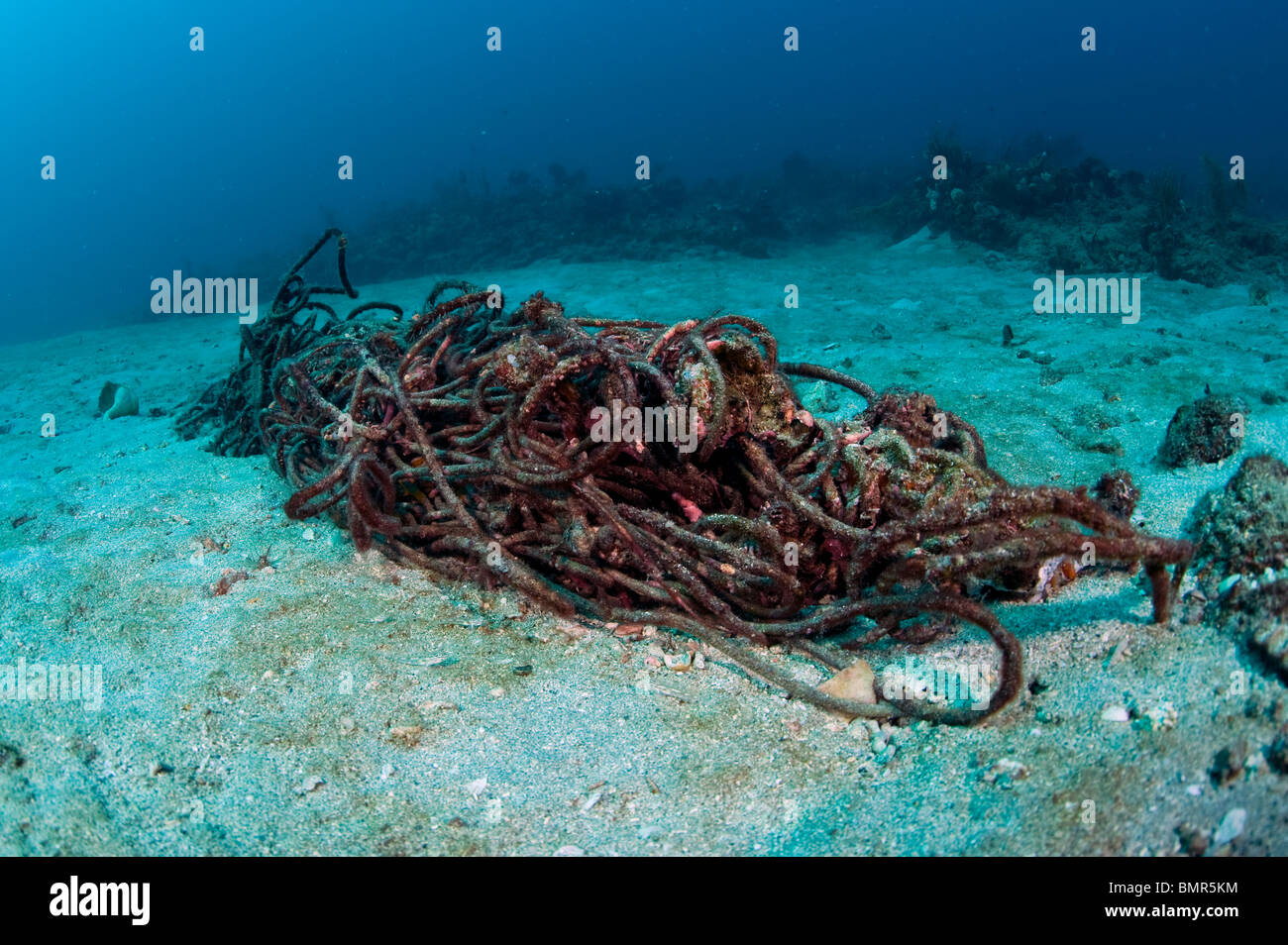 Discarded rope and debris on a Palm Beach County, FL coral reef This debris can break corals and sponges and trap sea animals Stock Photo
