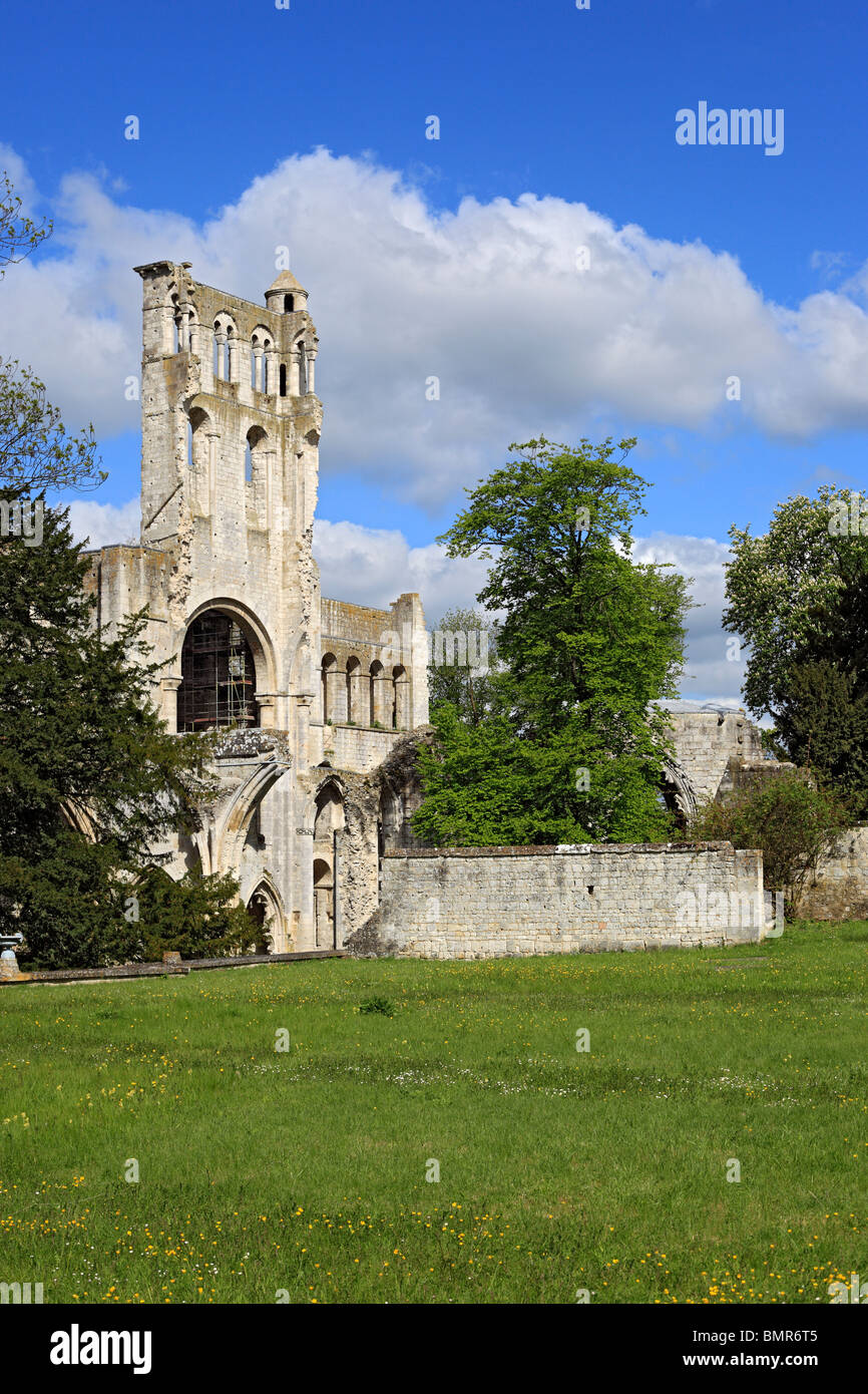 Jumieges Abbey, Seine-Maritime department, Upper Normandy, France Stock Photo
