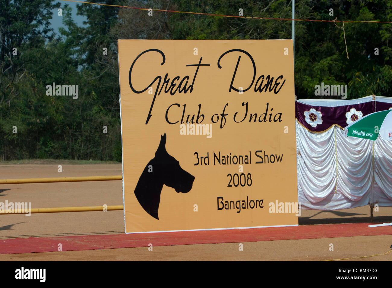 Great Dane dog show in Bangalore, Karnataka, India Stock Photo Alamy