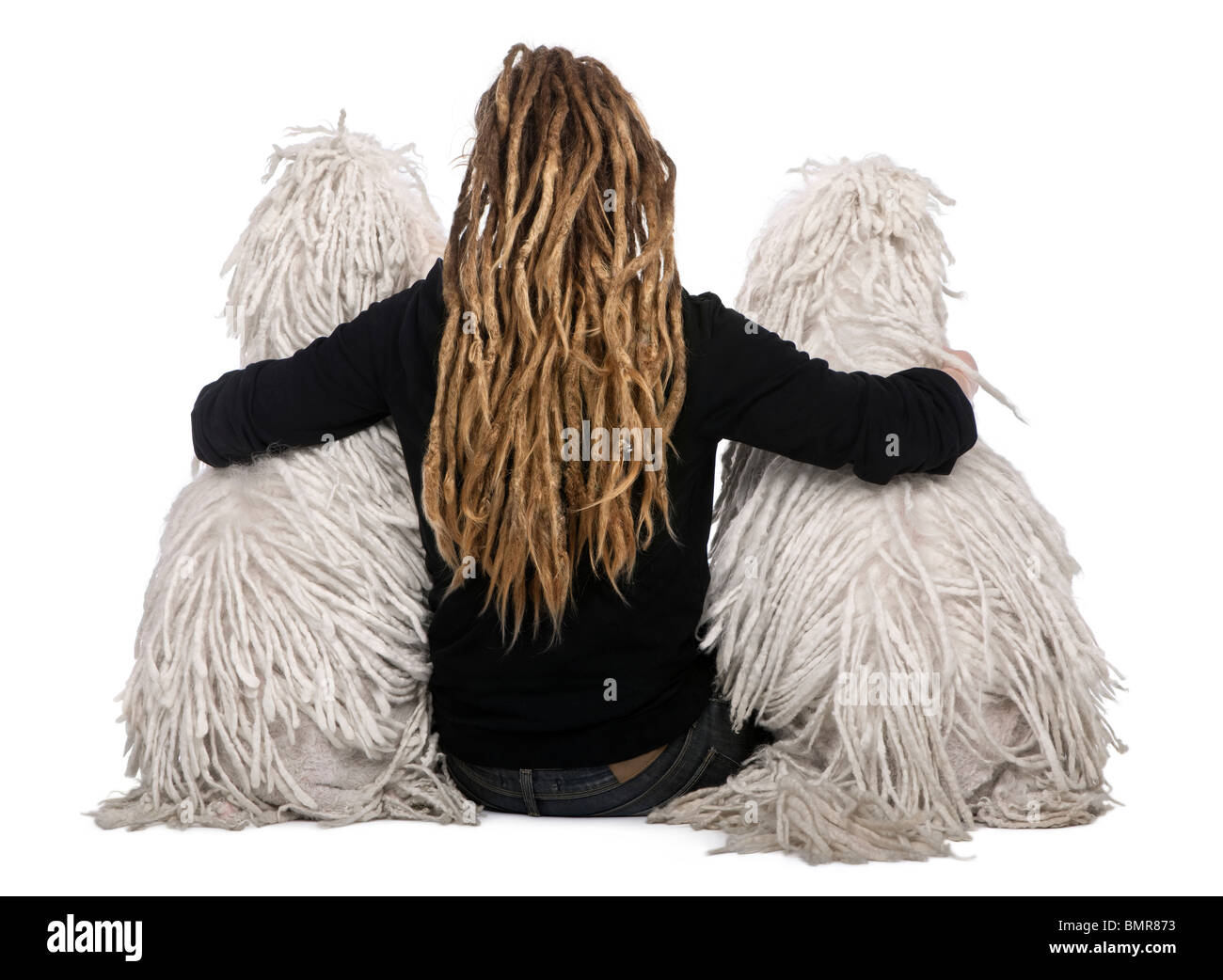Rear view of two White Corded standard Poodles and woman with dreadlocks sitting in front of white background Stock Photo