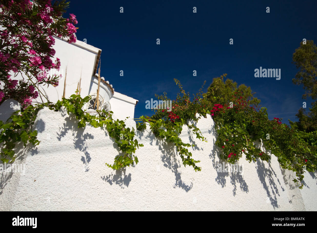 Bougainvillea flowers adorn a traditional villa in San Rafael,Andalucia Stock Photo