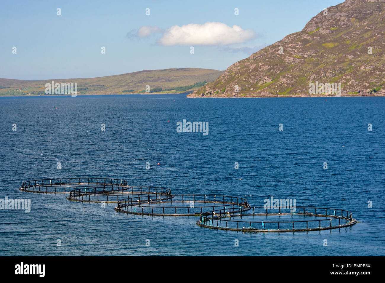 Circular fish-farming tanks. Badcaul, Little  Loch Broom, Ross and Cromarty, Scotland, United Kingdom, Europe. Stock Photo