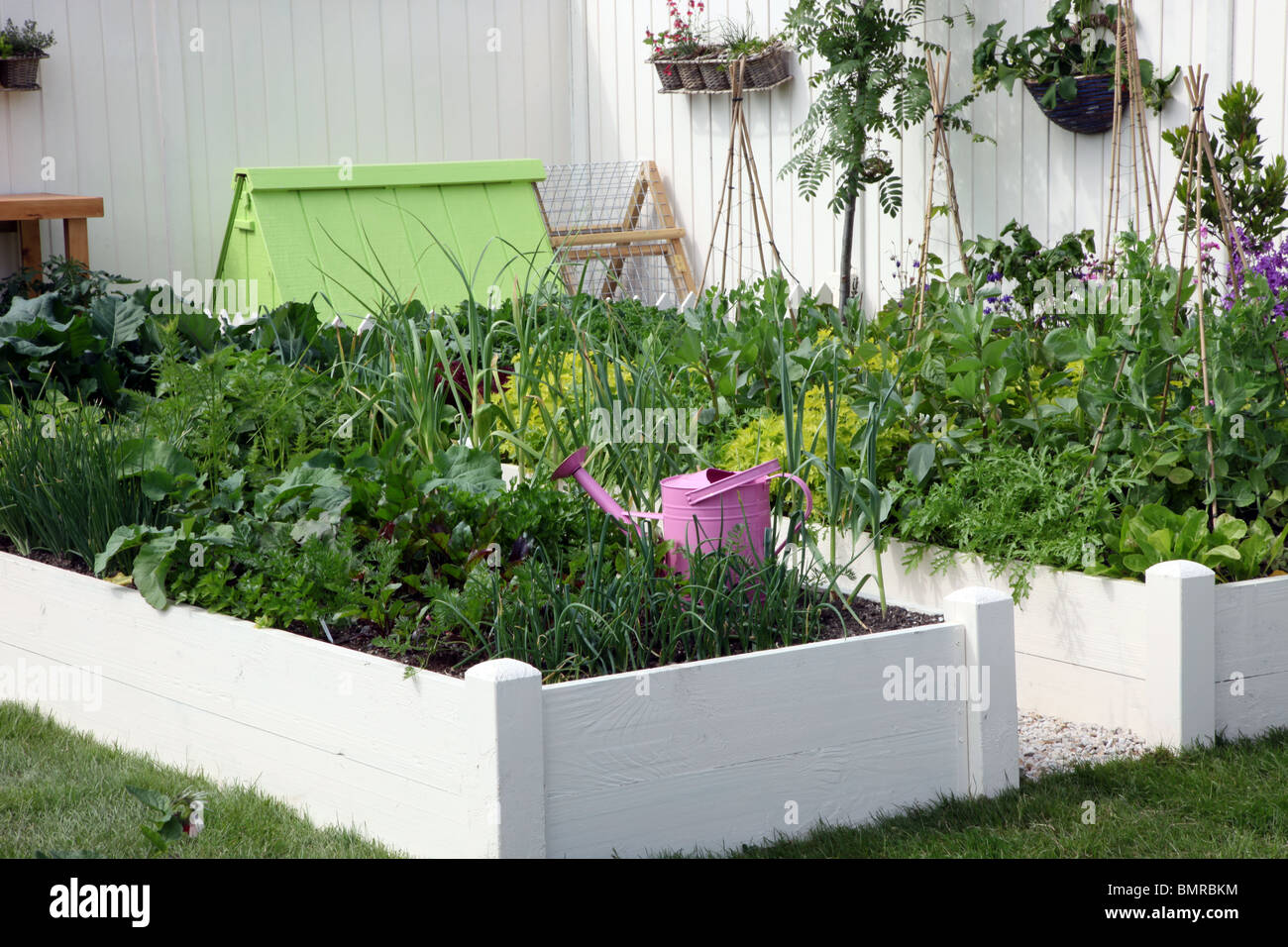 raised beds with vegetables, GIY Edible Garden, Bloom 2010, Ireland Stock Photo
