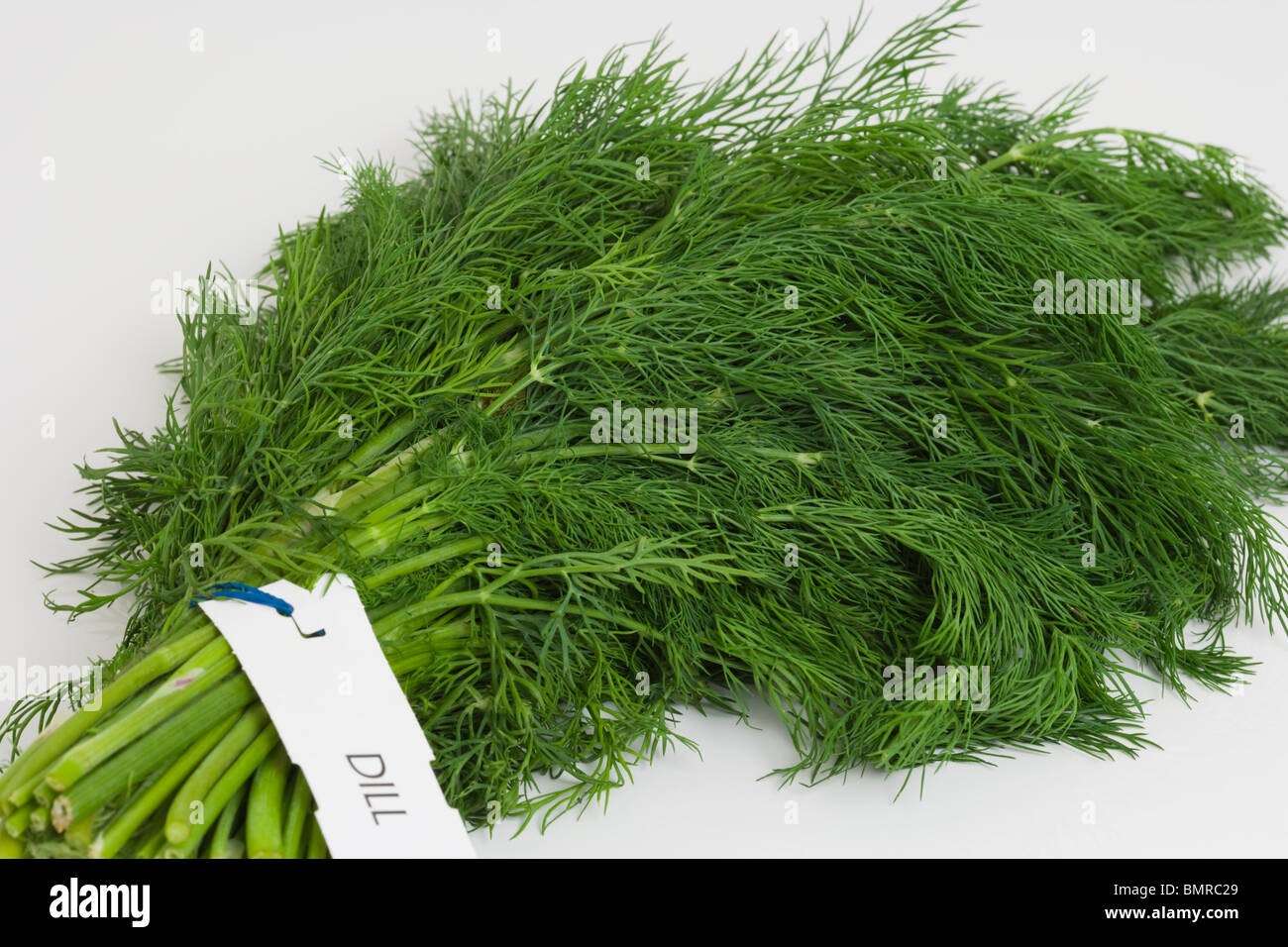 Download Bunch Of Dill Anethum Graveolens Apiaceae Umbelliferae Stock Photo Alamy Yellowimages Mockups