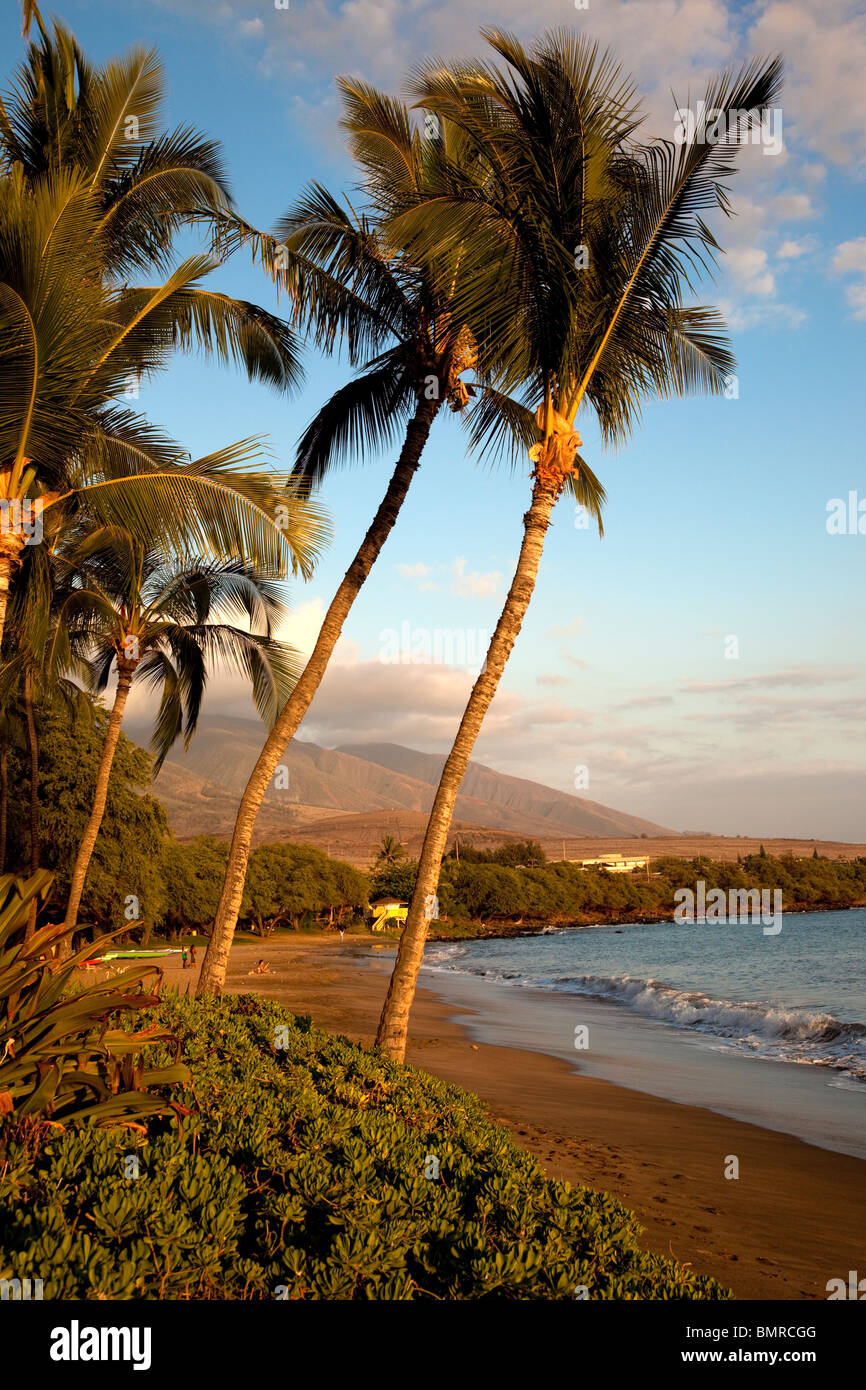 Hanaka'o'o Beach Park, aka Canoe Beach, Maui, Hawaii Stock Photo Alamy