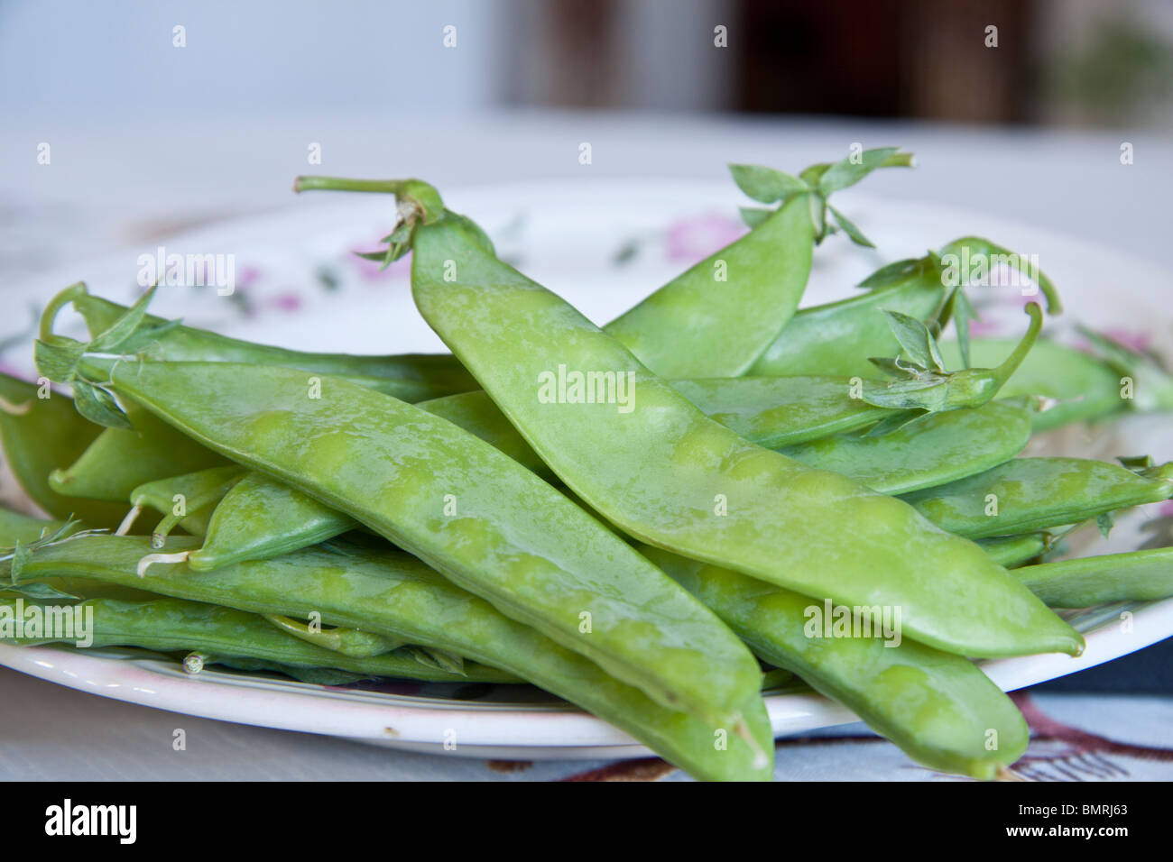 fresh green snow peas freshly picked placed on a plate. Stock Photo