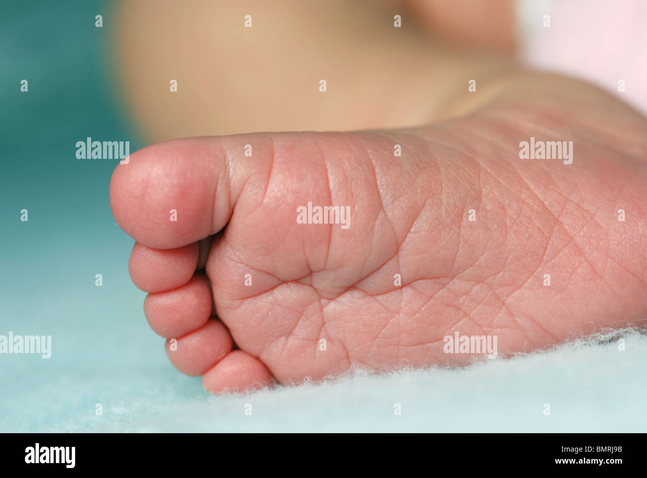 Newborn baby foot Stock Photo Alamy