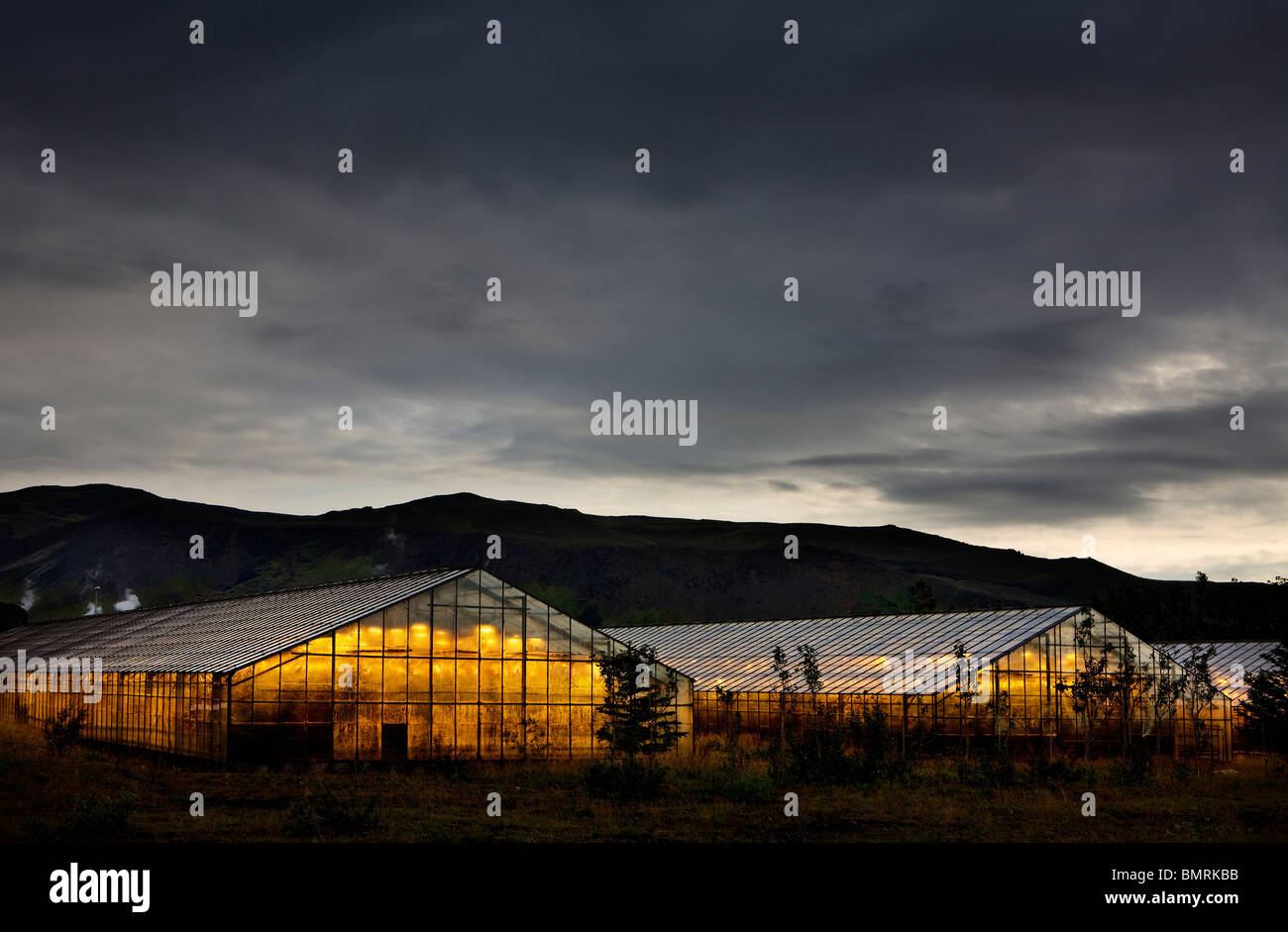 The people in Hveragerði Iceland use geothermal energy  for heating their greenhouses. Stock Photo