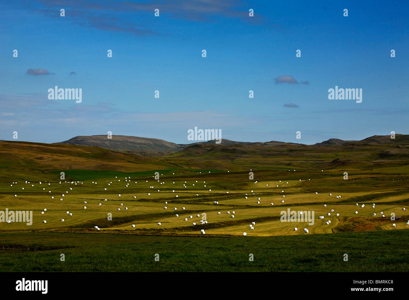 Arnes iceland hi-res stock photography and images - Alamy