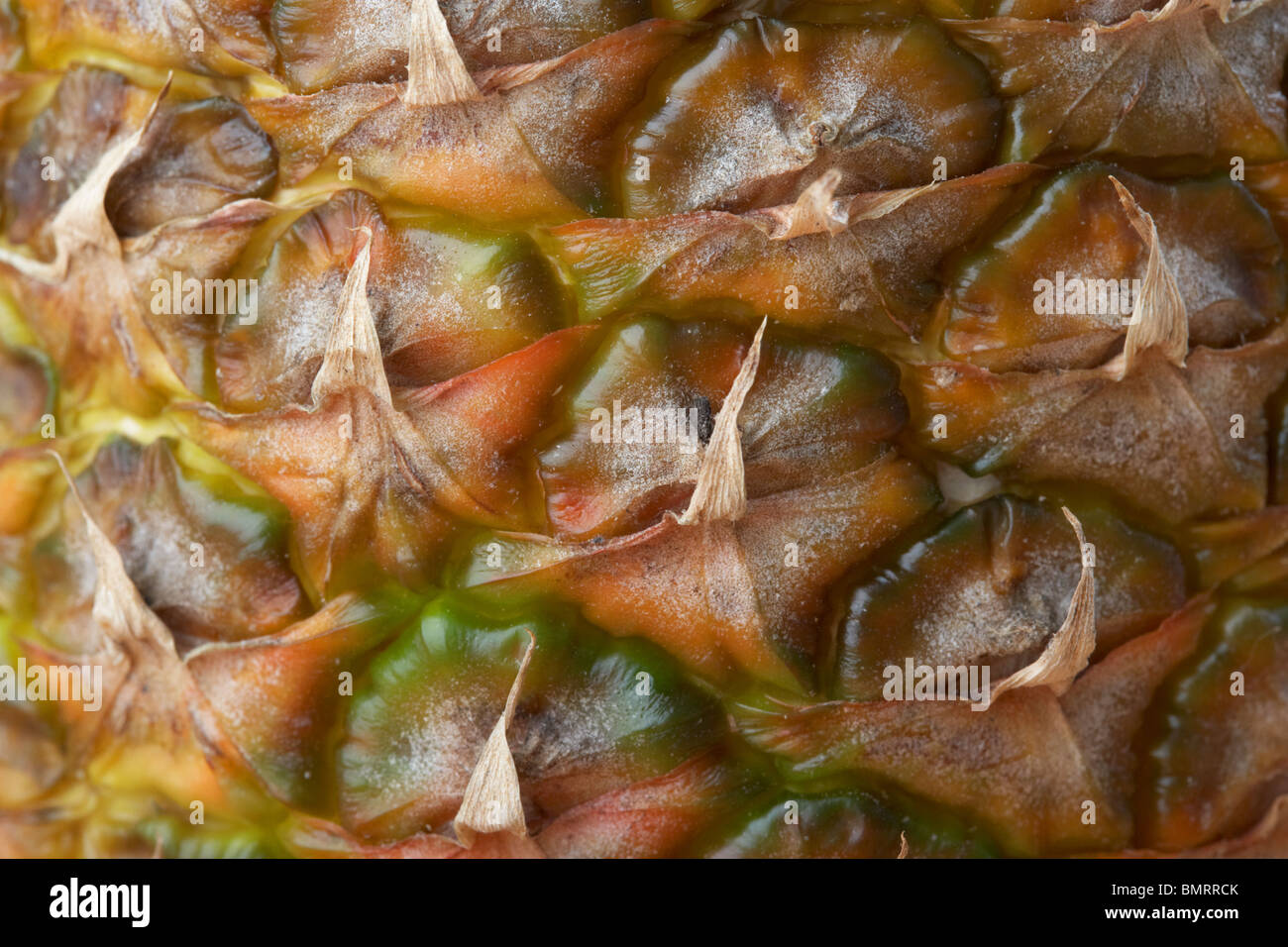 Pineapple skin close up hires stock photography and images Alamy