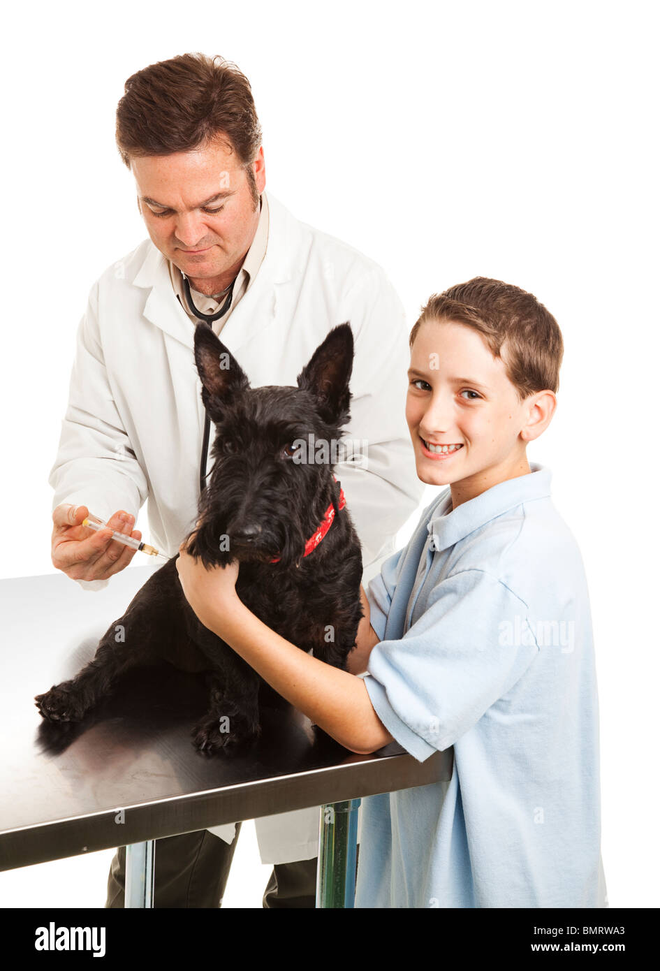 Veterinarian giving a shot to a little boy's Scotty dog. White background. Stock Photo