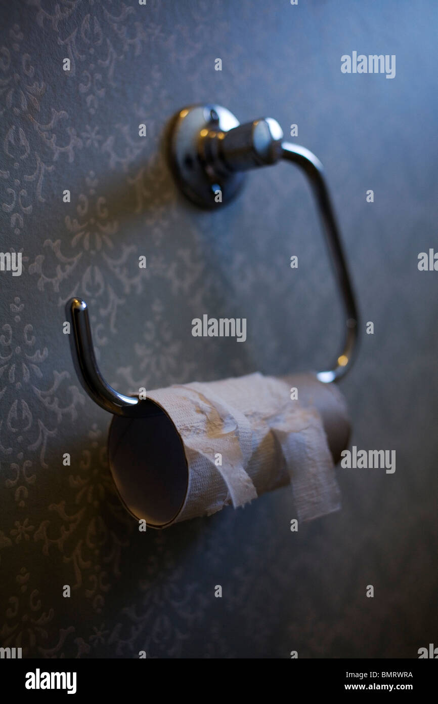 Used toilet roll. Stock Photo