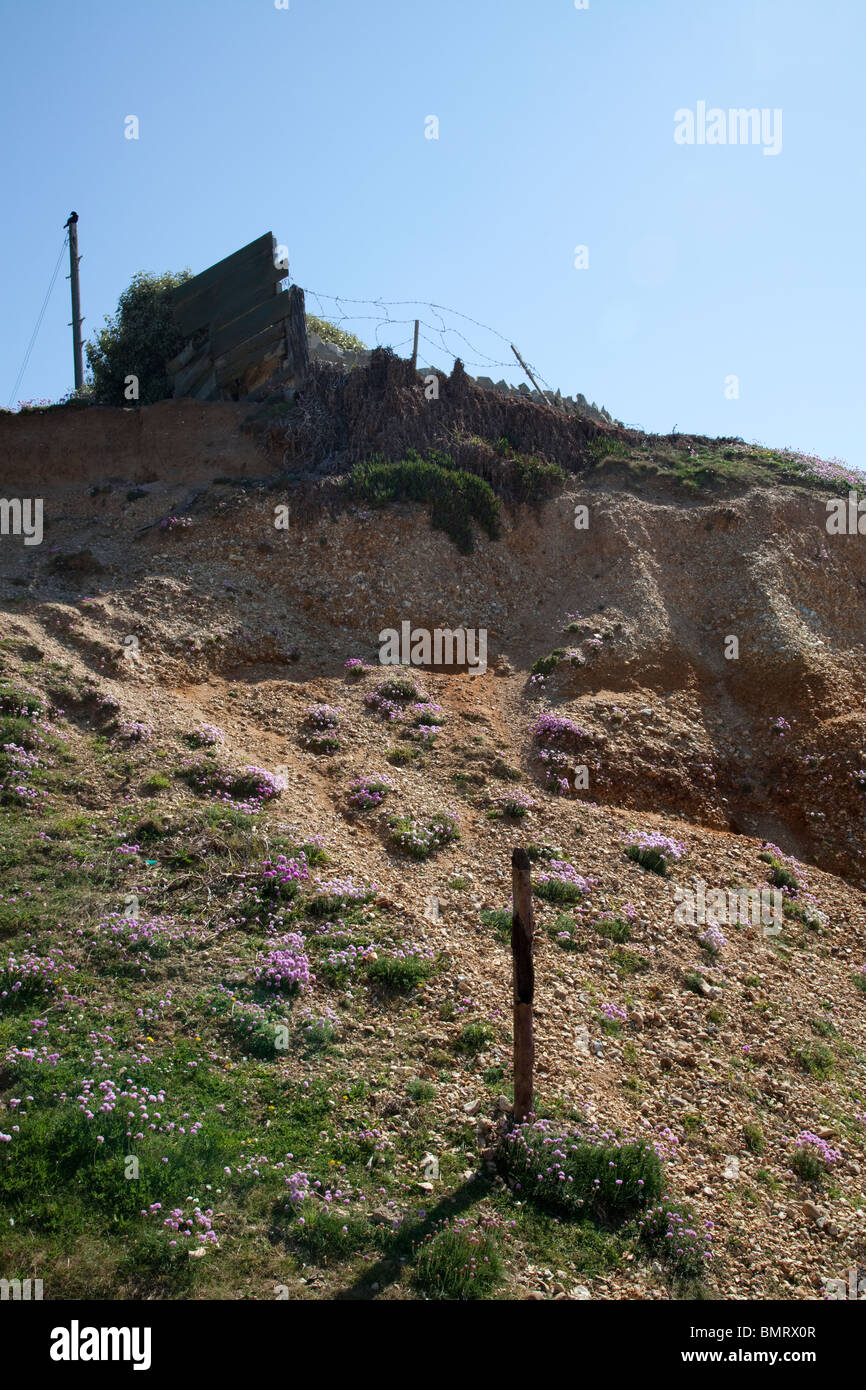 eroded cliffs at barton on sea in hampshire Stock Photo