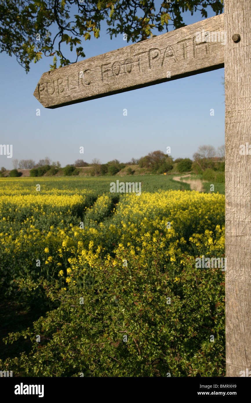 public footpath sign pointing across fields Stock Photo
