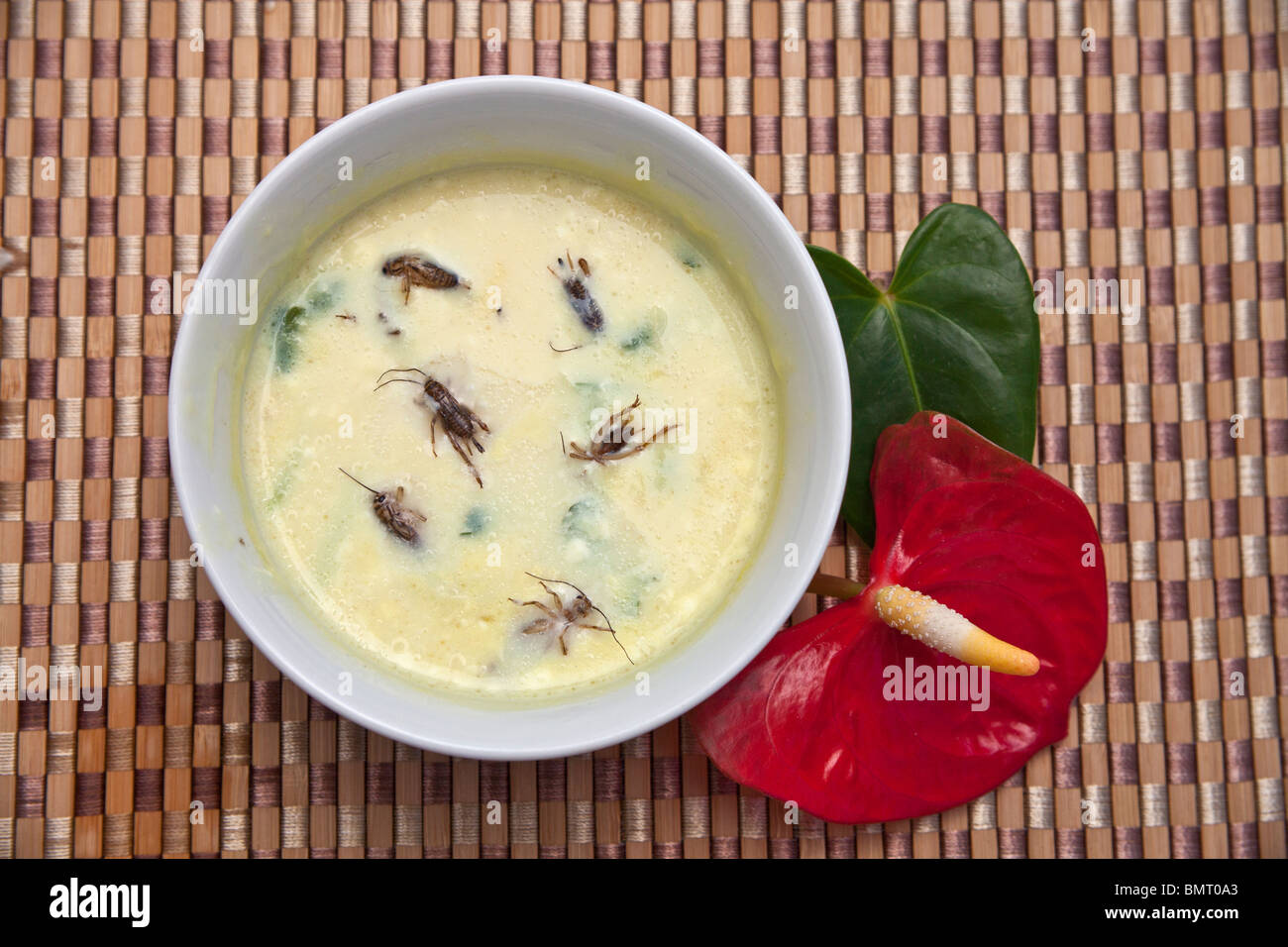 Creamy Cricket Soup from Asian countries. © Myrleen Pearson Stock Photo ...