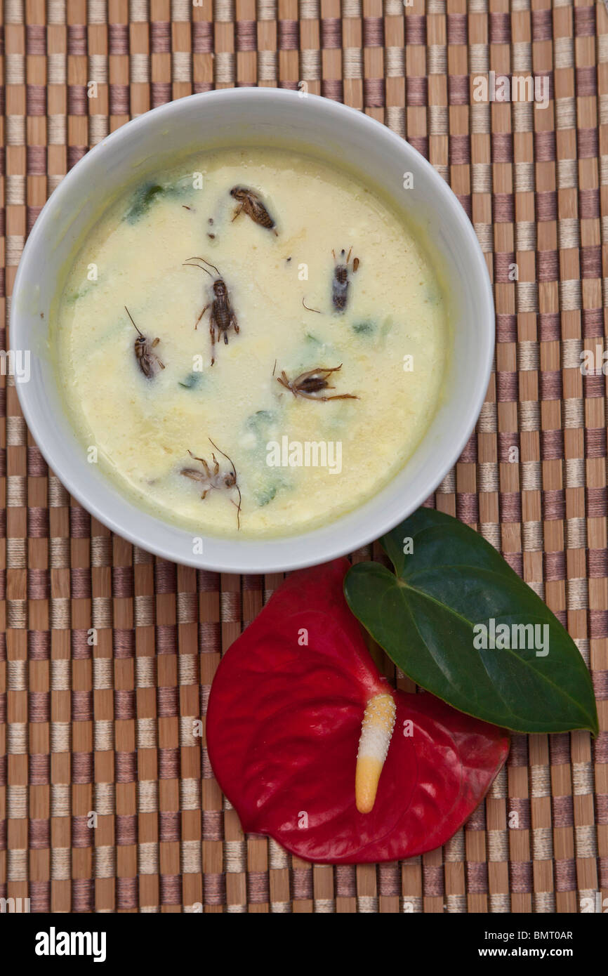Creamy Cricket Soup from Asian countries. © Myrleen Pearson Stock Photo ...