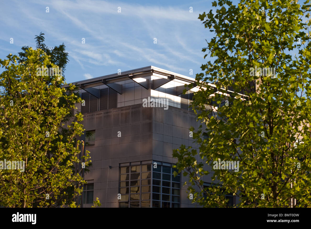 MIT's Building E51, seen through the trees in late afternoon Stock Photo