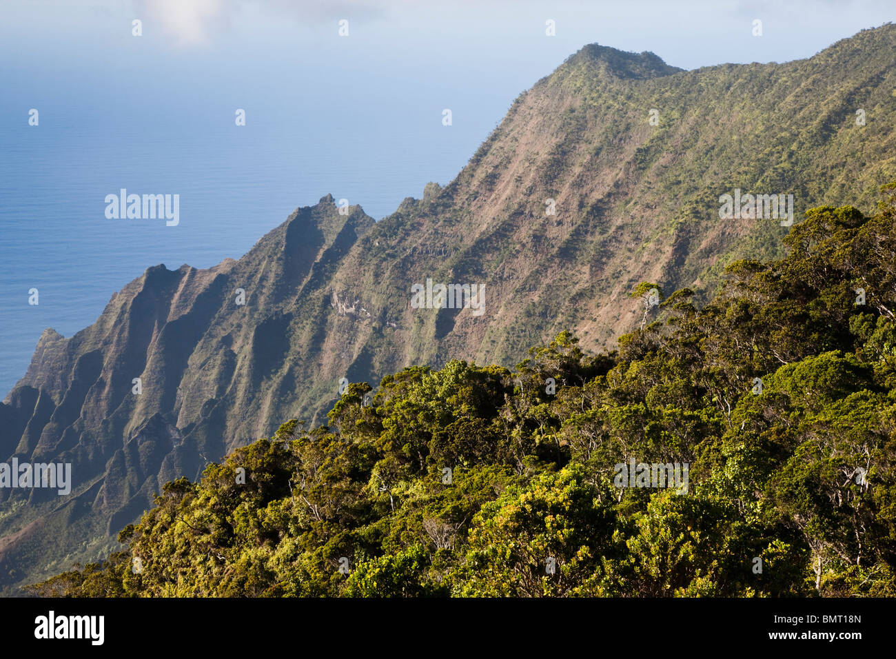 Hawaii, United States Of America; Fluted Ridge Forms The Side Of ...