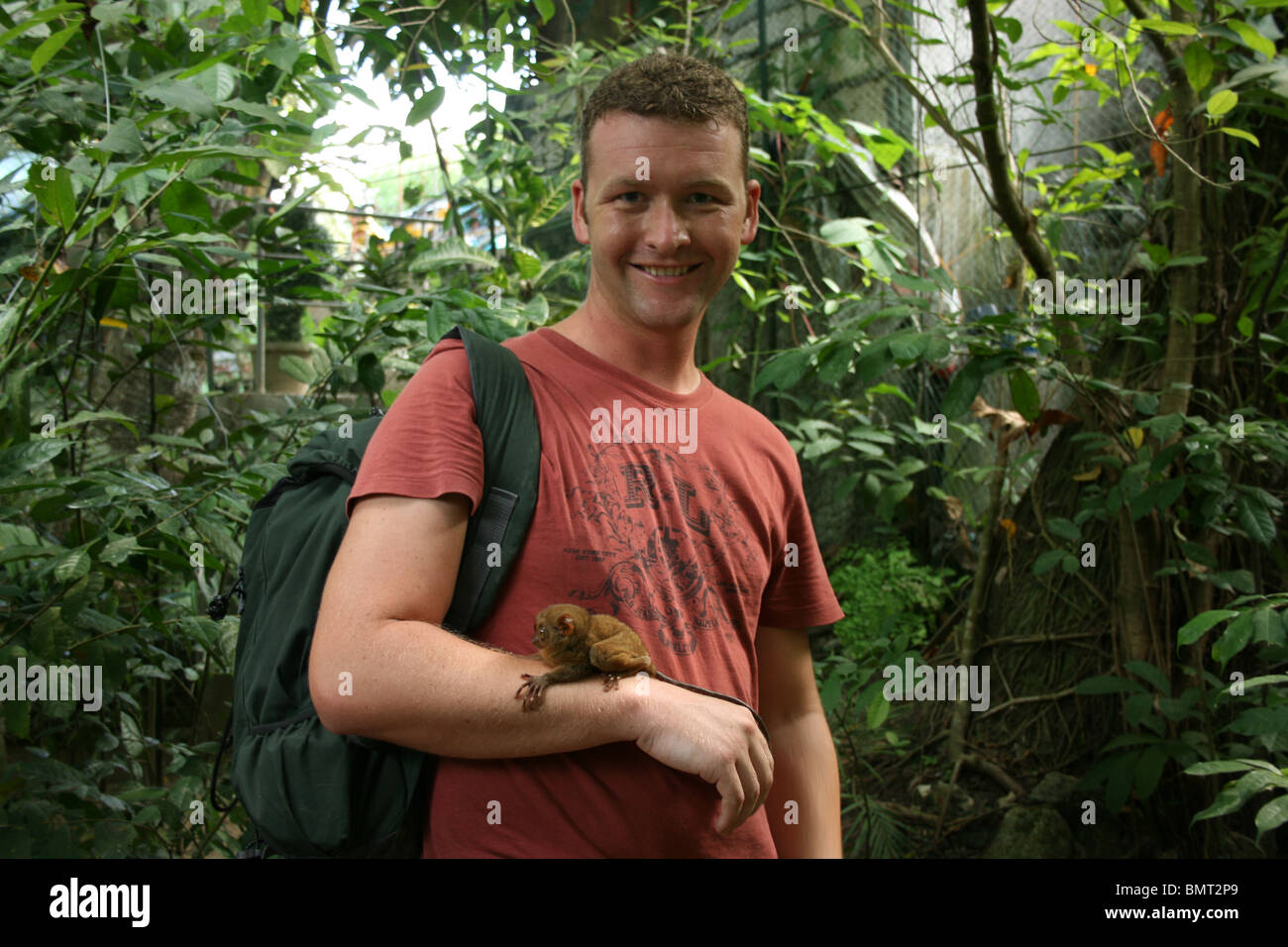 Tarsier On Tourist Stock Photo